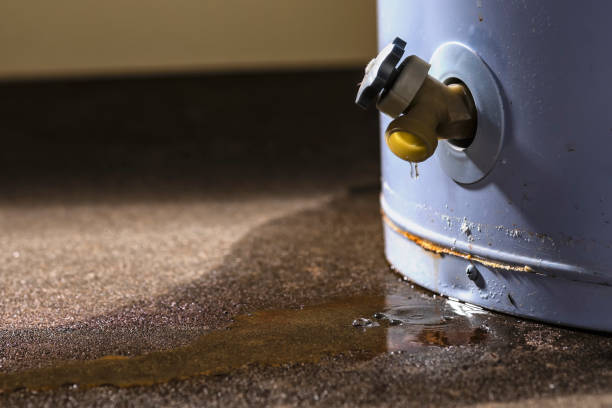 Best Residential water damage restoration  in Prescott, WI