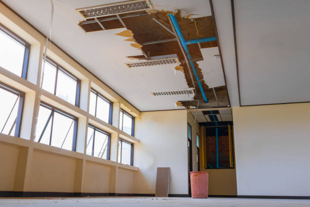 Best Water damage restoration process  in Prescott, WI