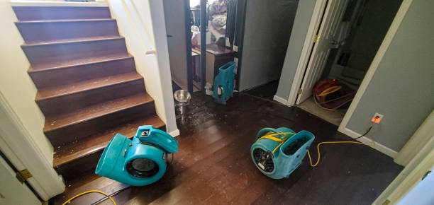 Best Emergency water damage restoration  in Prescott, WI