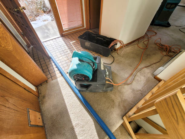Best Water damage restoration near me  in Prescott, WI