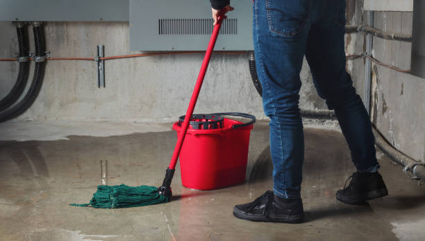 Best Emergency water damage restoration  in Prescott, WI