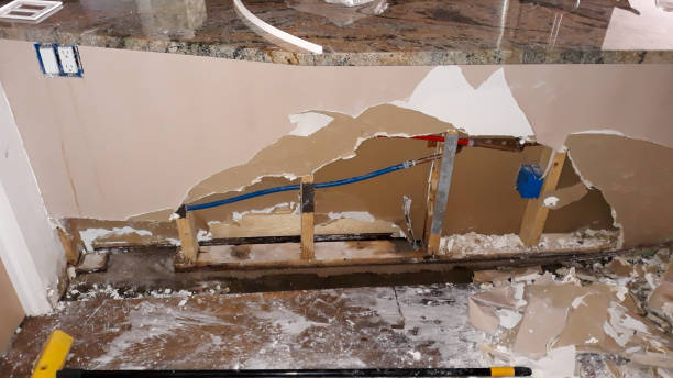 Best Ceiling water damage repair  in Prescott, WI
