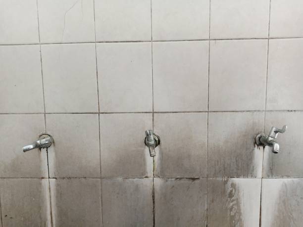 Best 24/7 water damage repair  in Prescott, WI