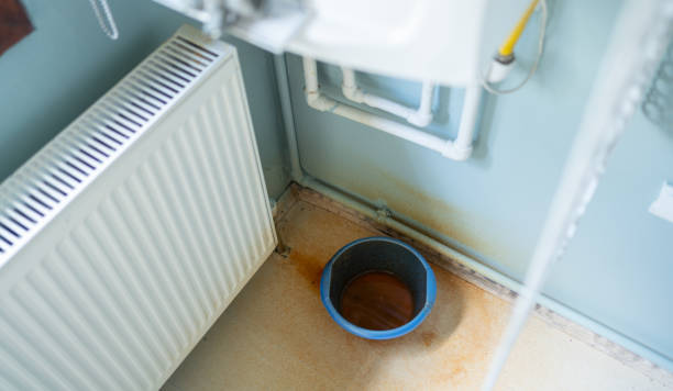 Best Commercial water damage restoration  in Prescott, WI