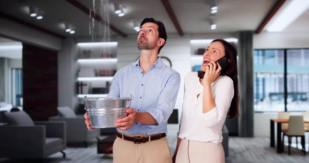Best 24/7 water damage repair  in Prescott, WI